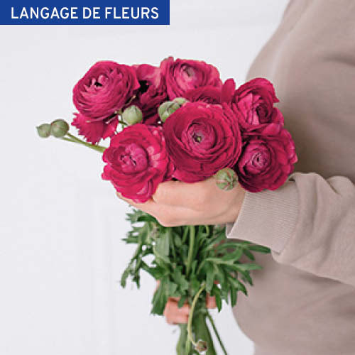 Les fleurs symbole d'amour | LA SERRE, fleuriste à Nantes