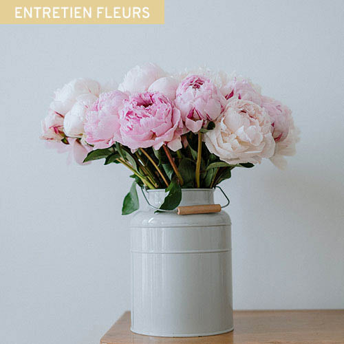Fleuriste Nantes LA SERRE : Comment conserver son bouquet de fleurs plus longtemps ?